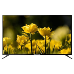 EcoStar 55 Inch QD Mini LED 4K TV CX-55M981